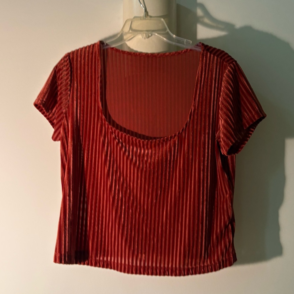 Y2K Style Rust colored Velvet Crop Top - L/XL